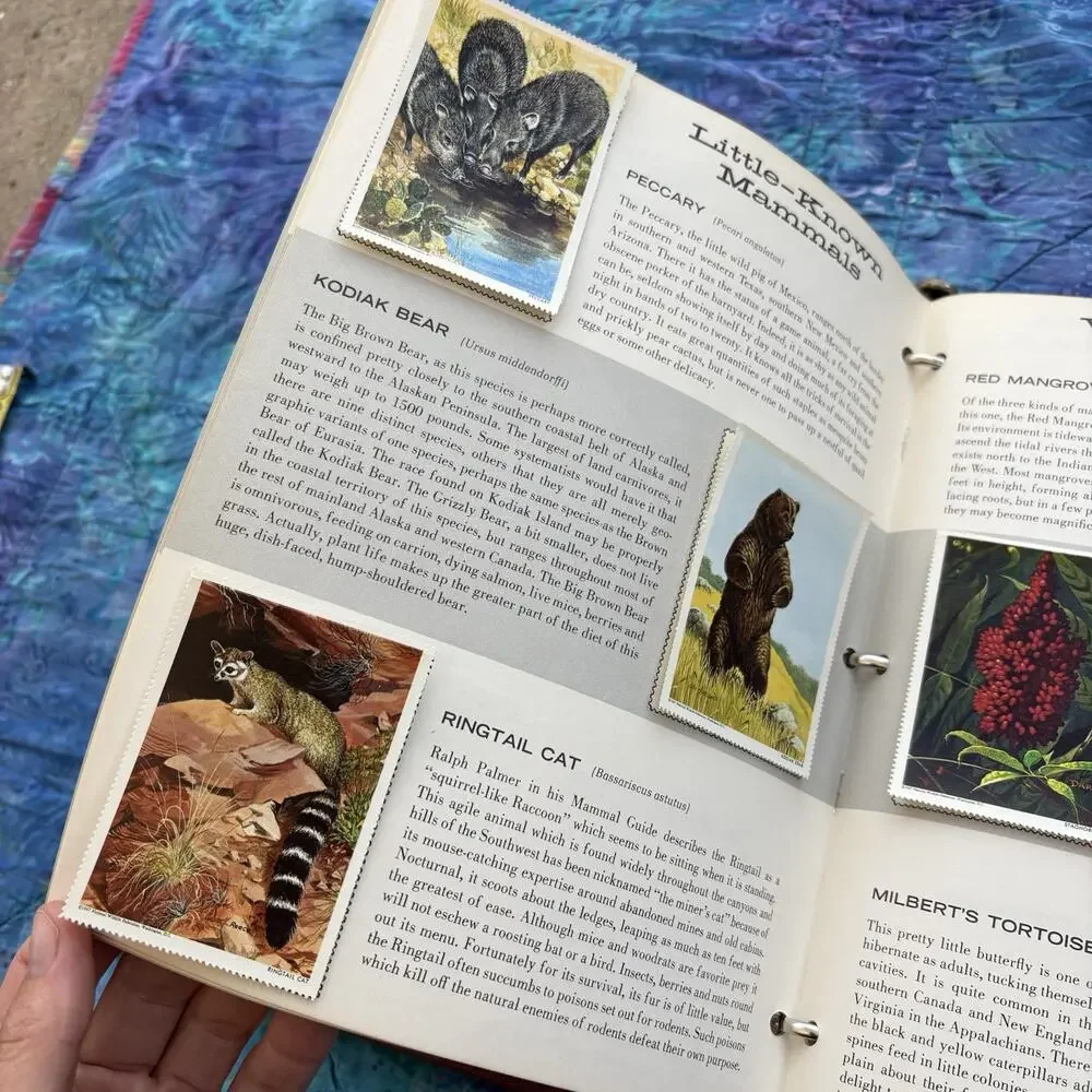 National Wildlife Federation Wildlife Conservation Stamp Album Collection 1976